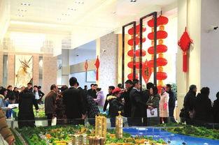 爆料乐山楼市事件最新,揭秘背后真相与市场动态