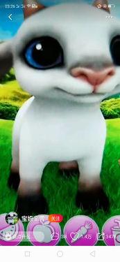 小羊最新爆料视频下载安装,揭秘幕后真相，带你走进事件核心