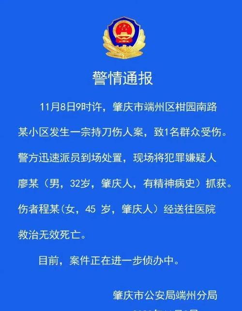 肇庆市热点爆料事件最新,惊心动魄的救援行动纪实
