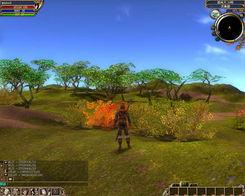 kok最新爆料,揭秘娱乐圈惊天秘密